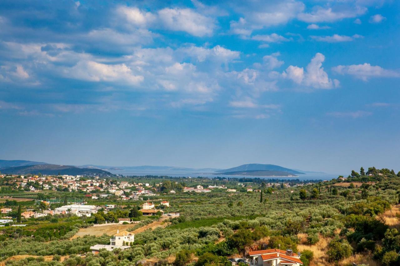 Aeolus Luxury Apartment - I Anabolu Dış mekan fotoğraf